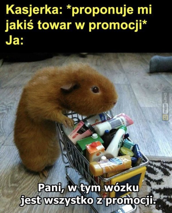 Śmieszny mem: 0441724 - MemLand