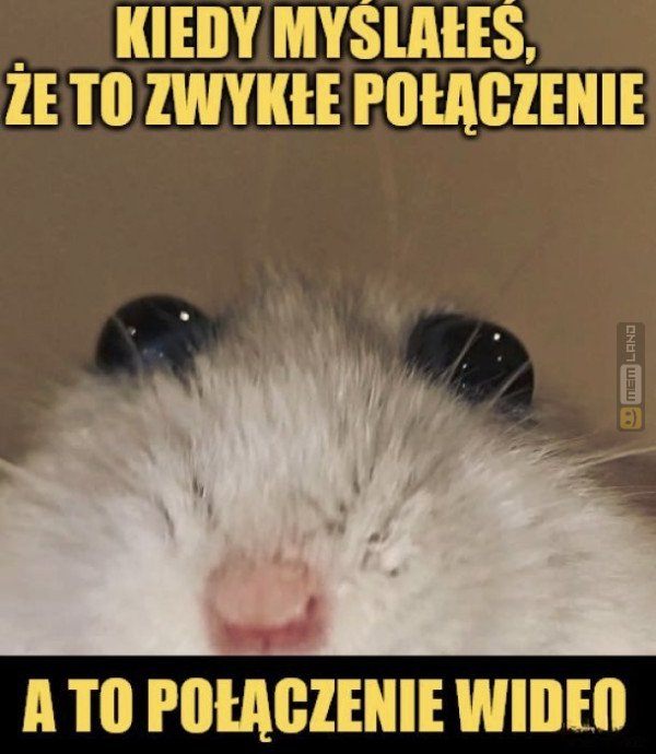 Śmieszny mem: 0443229 - MemLand