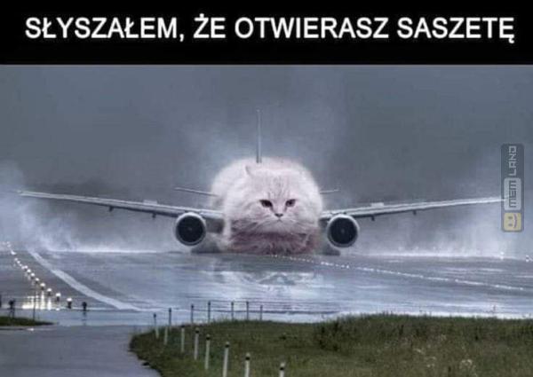 Śmieszny mem: 0449289 - MemLand