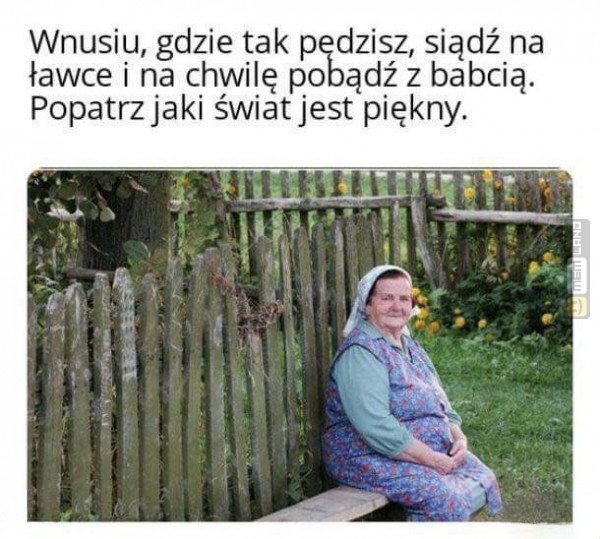 Śmieszny mem: 0458977 - MemLand