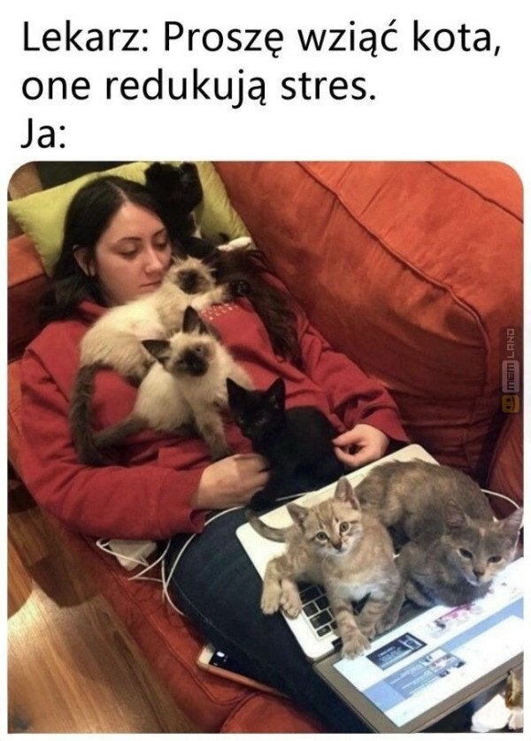Śmieszny mem: 0465935 - MemLand