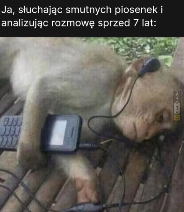 Śmieszny mem: 0466022 - MemLand