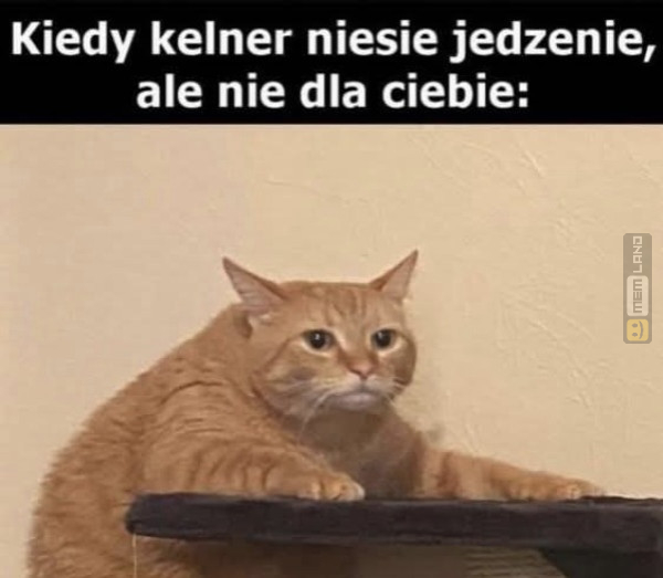 Śmieszny mem: 0469293 - MemLand