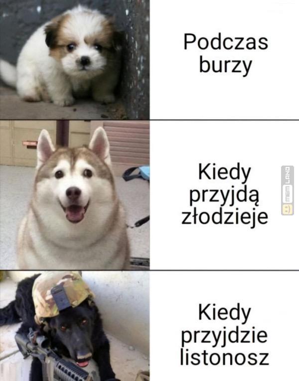 Śmieszny mem: 0469544 - MemLand