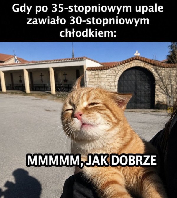 Śmieszny mem: 0477673 - MemLand