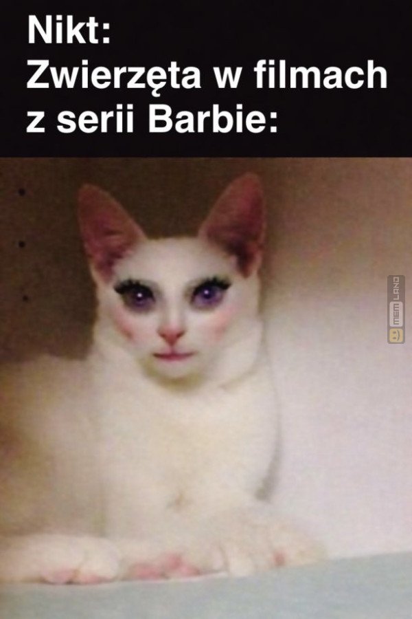 Śmieszny mem: 0480665 - MemLand