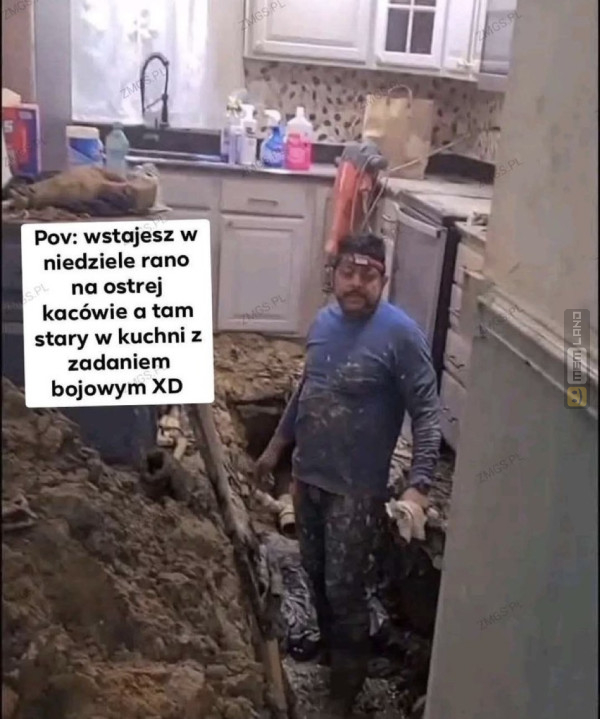 Śmieszny mem: 0482447 - MemLand