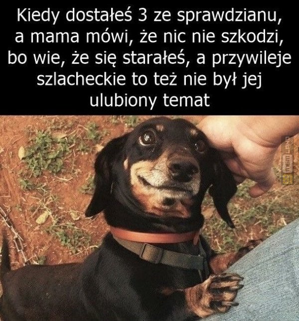 Śmieszny mem: 0488883 - MemLand