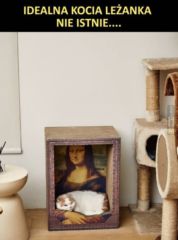 Śmieszny mem: 0491601 - MemLand