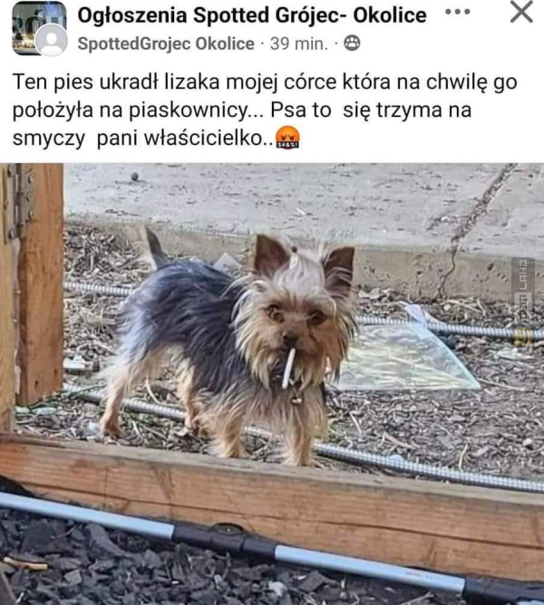 Śmieszny mem: 0494144 - MemLand