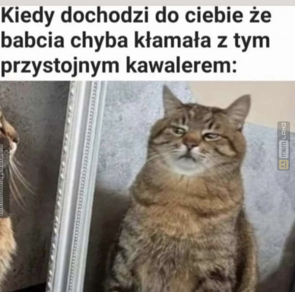 Śmieszny mem: 0494298 - MemLand