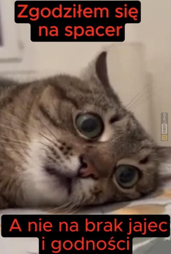 Śmieszny mem: 0496829 - MemLand