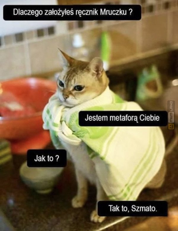 Śmieszny mem: 0497690 - MemLand