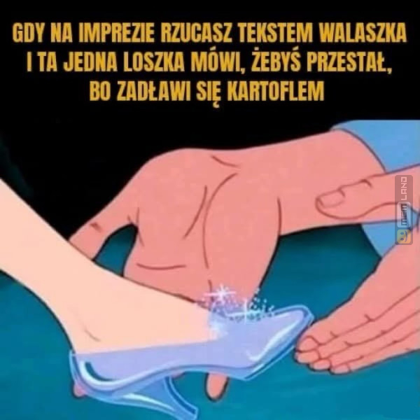 Śmieszny mem: 0506483 - MemLand