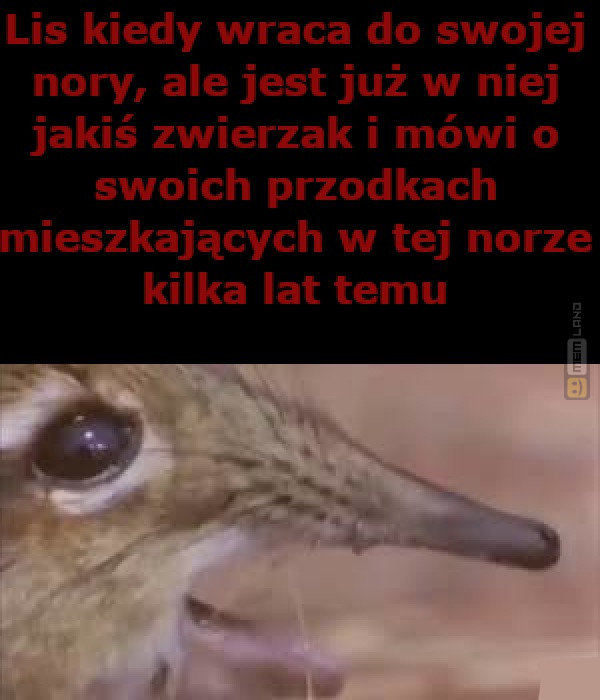 Śmieszny mem: 0507596 - MemLand