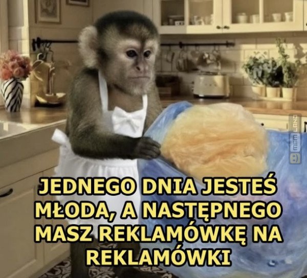 Śmieszny mem: 0508962 - MemLand