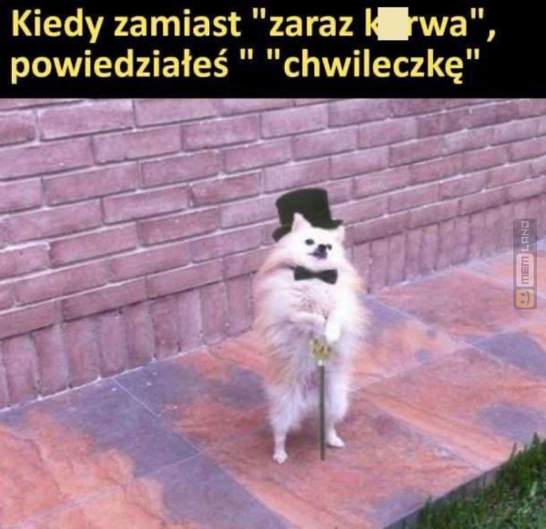 Śmieszny mem: 0510158 - MemLand