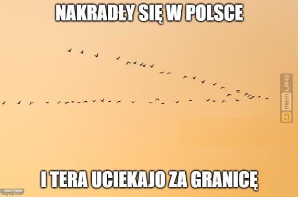 Śmieszny mem: 0510994 - MemLand