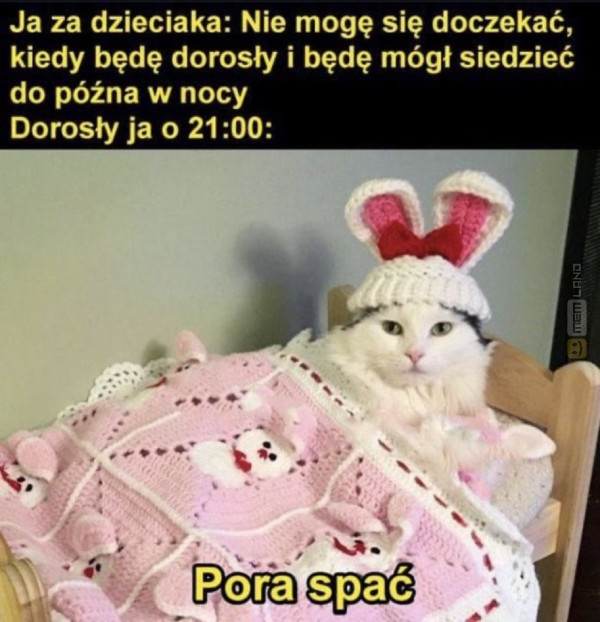 Śmieszny mem: 0520826 - MemLand