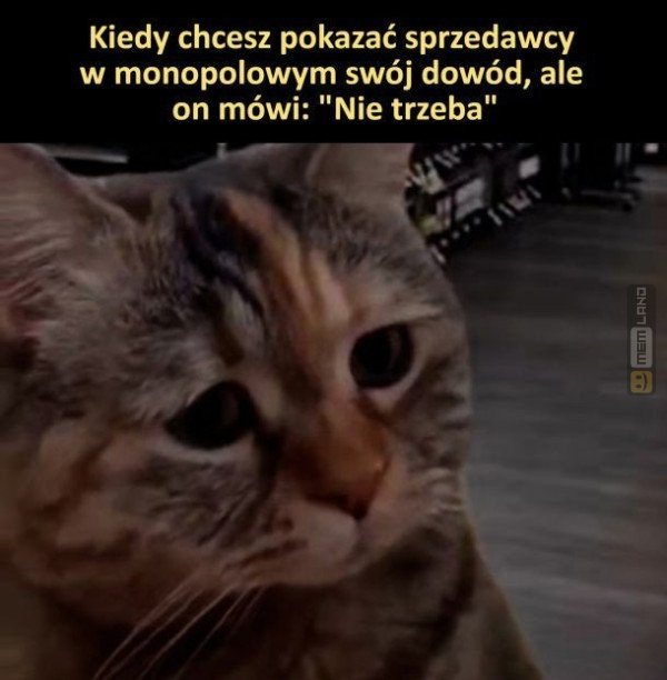 Śmieszny mem: 0525102 - MemLand