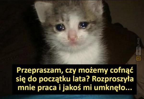 Śmieszny mem: 0526312 - MemLand