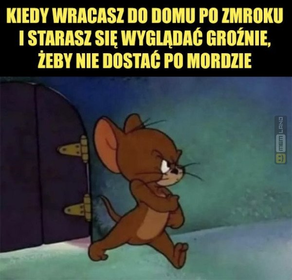 Śmieszny mem: 0535890 - MemLand