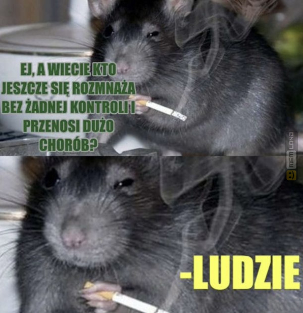 Śmieszny mem: 0536362 - MemLand