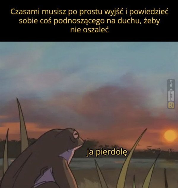 Śmieszny mem: 0538782 - MemLand