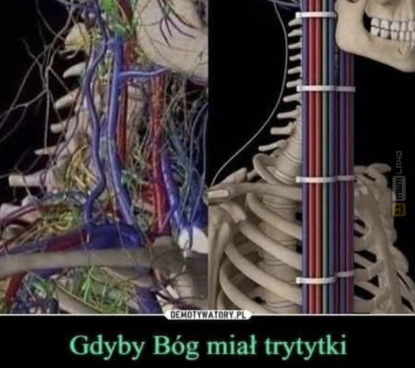 Śmieszny mem: 0542619 - MemLand