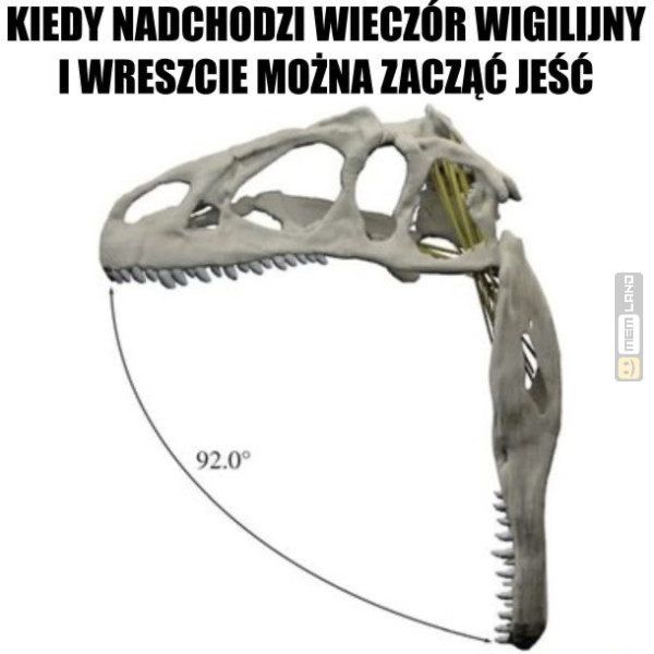 Śmieszny mem: 0548729 - MemLand