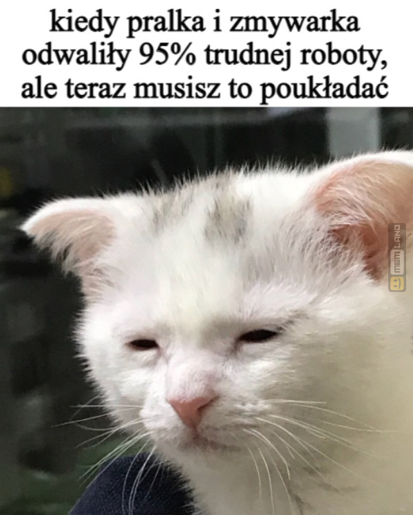 Śmieszny mem: 0549912 - MemLand