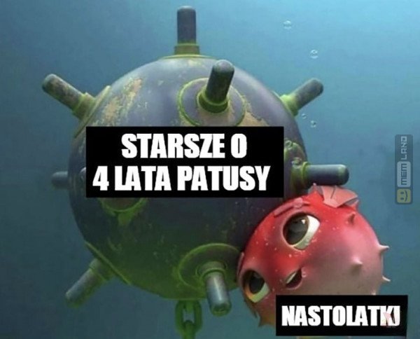 Śmieszny mem: 0552139 - MemLand