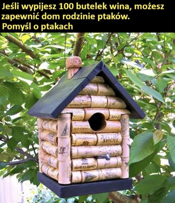 Śmieszny mem: 0557608 - MemLand