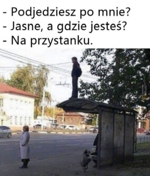 Śmieszny mem: 0563787 - MemLand