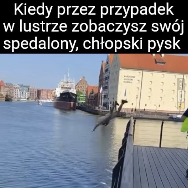 Śmieszny mem: 0564704 - MemLand