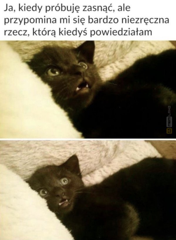 Śmieszny mem: 0566616 - MemLand