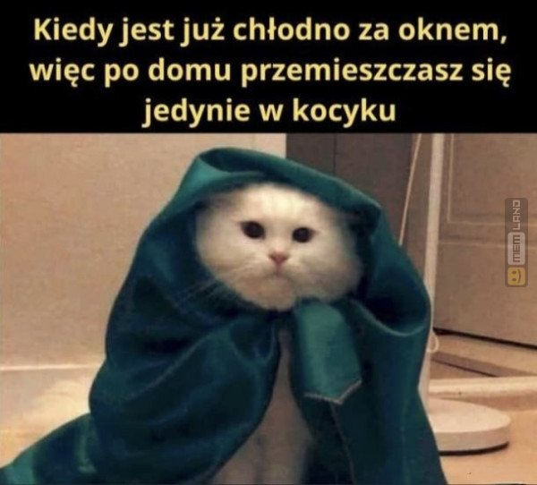 Śmieszny mem: 0570609 - MemLand