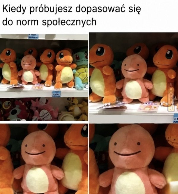 Śmieszny mem: 0576810 - MemLand
