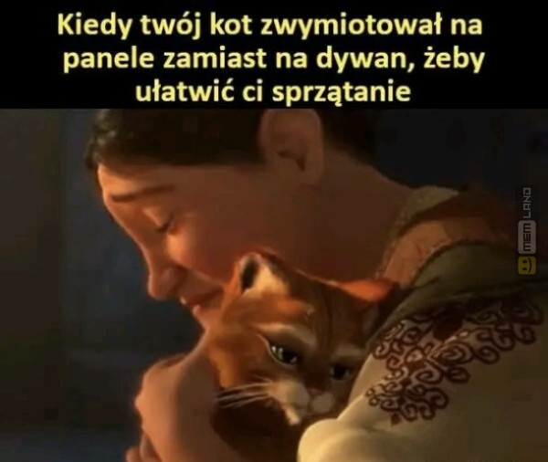 Śmieszny mem: 0588545 - MemLand