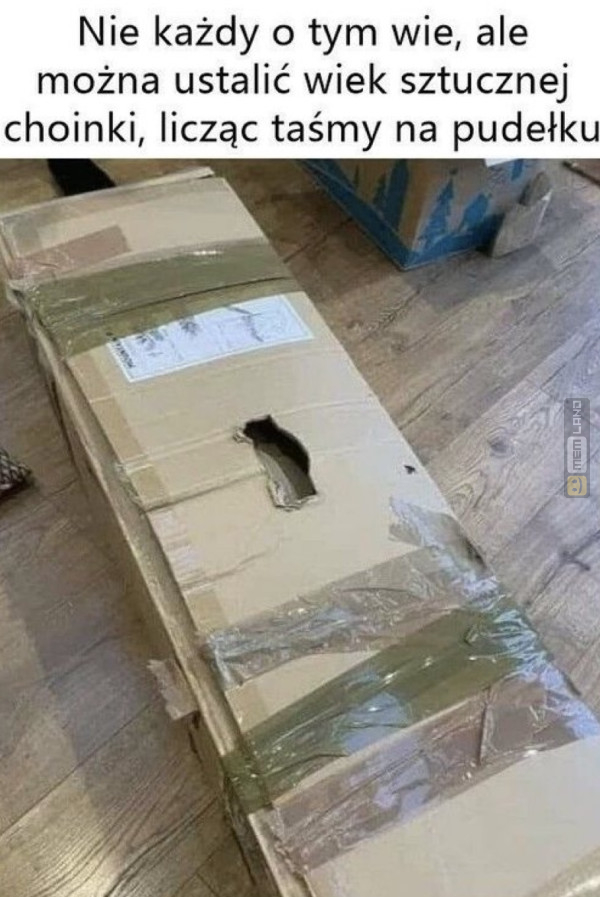 Śmieszny mem: 0597513 - MemLand