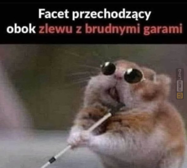 Śmieszny mem: 0600363 - MemLand