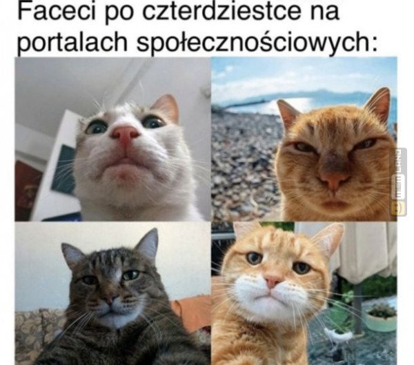 Śmieszny mem: 0605360 - MemLand