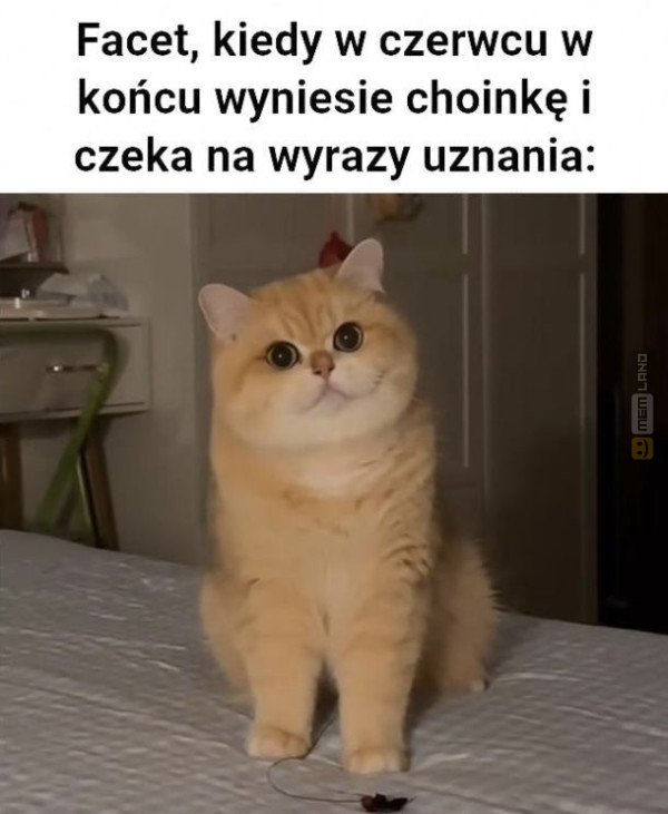 Śmieszny mem: 0606775 - MemLand