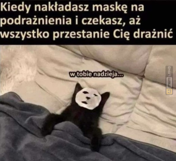 Śmieszny mem: 0607267 - MemLand