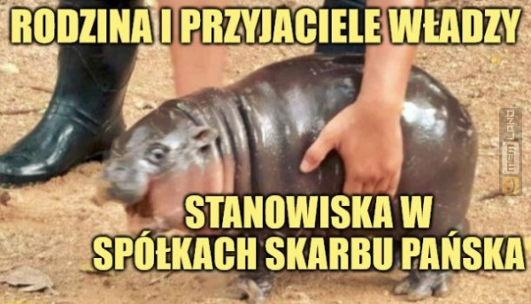 Śmieszny mem: 0625795 - MemLand