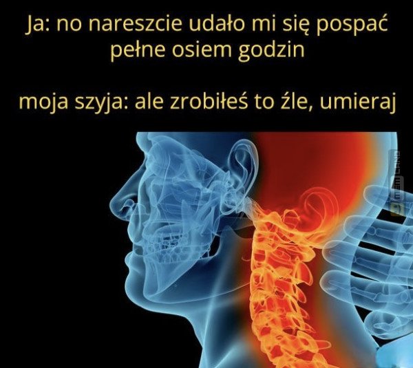 Śmieszny mem: 0627600 - MemLand