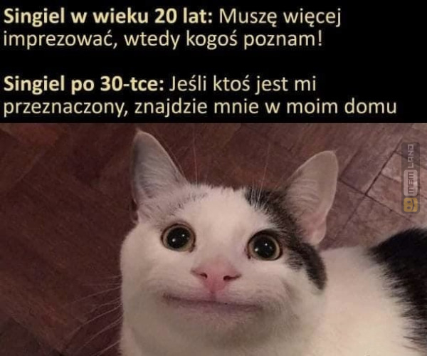 Śmieszny mem: 0633974 - MemLand