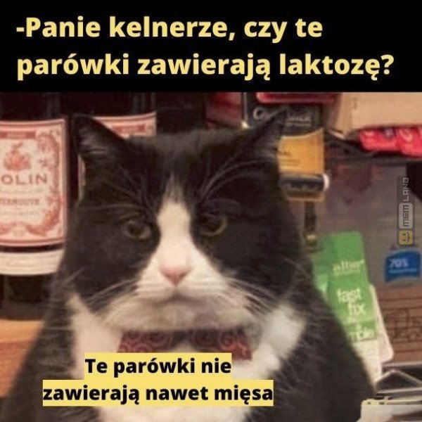 Śmieszny mem: 0639330 - MemLand