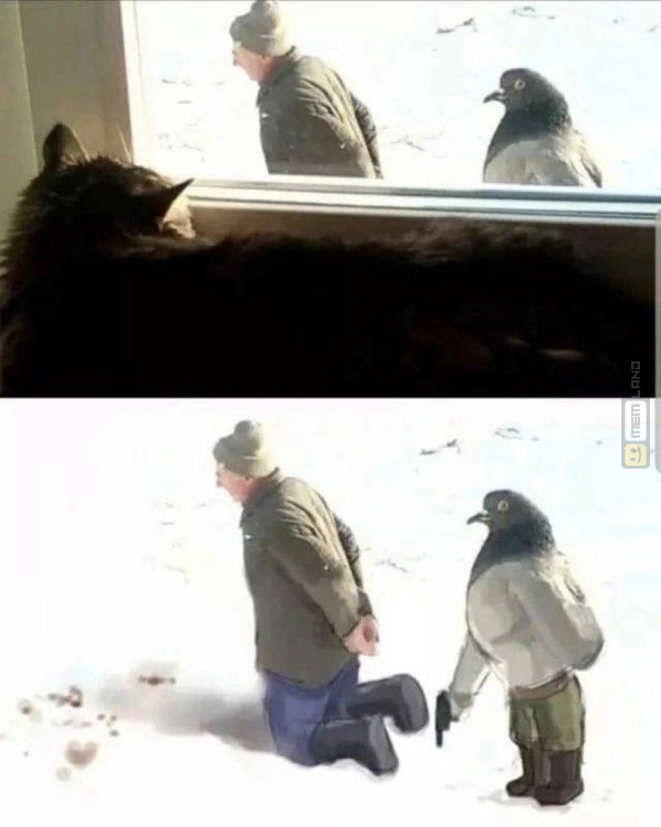 Śmieszny mem: 0650584 - MemLand