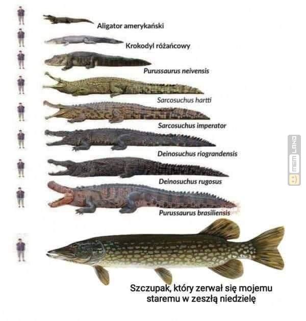 Śmieszny mem: 0653336 - MemLand